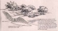 /album/swales/diagram-swale-jpg/